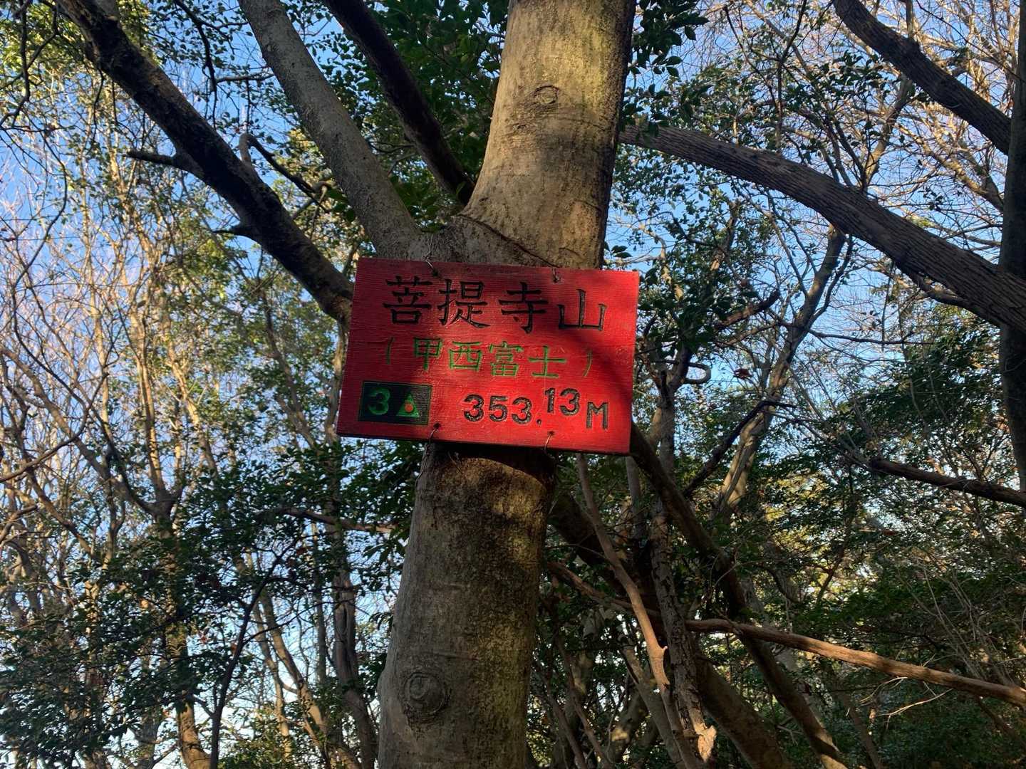そして菩提寺山(甲西富士)