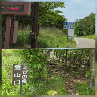 やがて…県道1号線を渡って 入山！
