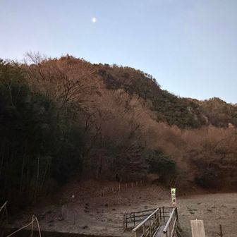 寒い🥶

橋の上はツルツル、、