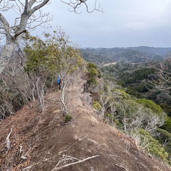 物見塚山へのルートへ
来た道を少し戻る

けっこう切れ落ちているので、油断禁物