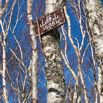 なぜか高い位置にある山藤山の銘板

積雪があそこまであったのかな？
木が伸びたのかな？
故意なのか？
ふ・し・ぎ⁉️
