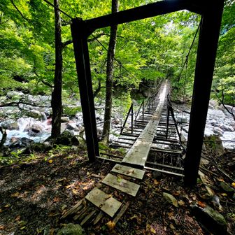 最後の吊橋
畑薙の方が大きかった&怖かった 笑