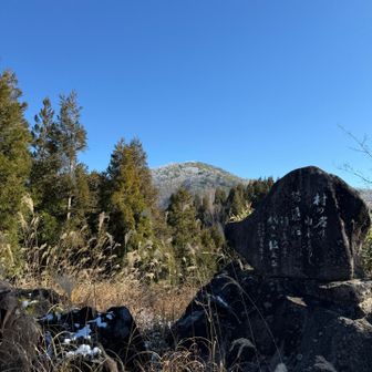 そこから山頂が見えた