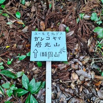看板はこんな感じ。