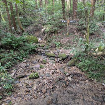 右に行けば背振山、左に行けば犬井谷方面