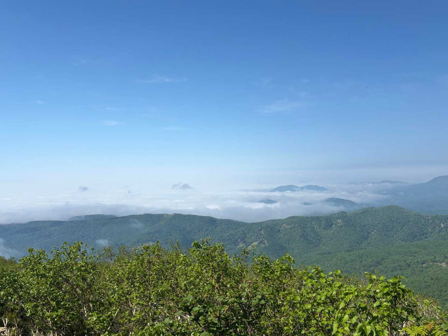 武佐岳 往復コースの写真