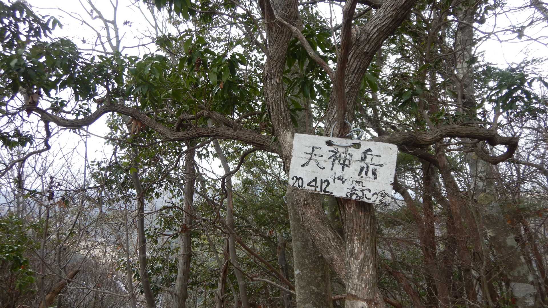 天神岳
須磨田三山の３座目
ここでランチ🍙🍜☕
さてここからの下山は、第二関門。
急坂を下るので木に掴まりながら慎重に！
目印になる物はほとんどなく踏み跡も不明瞭となりますが、地形図を見ながら傾斜の緩そうなルートを探しながら下りました。
しろりんさんの軌跡も大変参考になり、ありがとうございました。