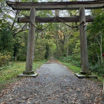 立派な鳥居⛩️