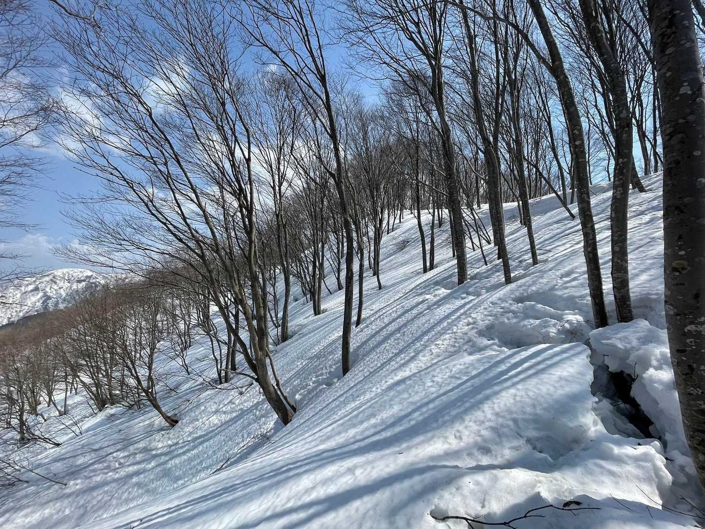影が素敵☺️
ゼブラ。