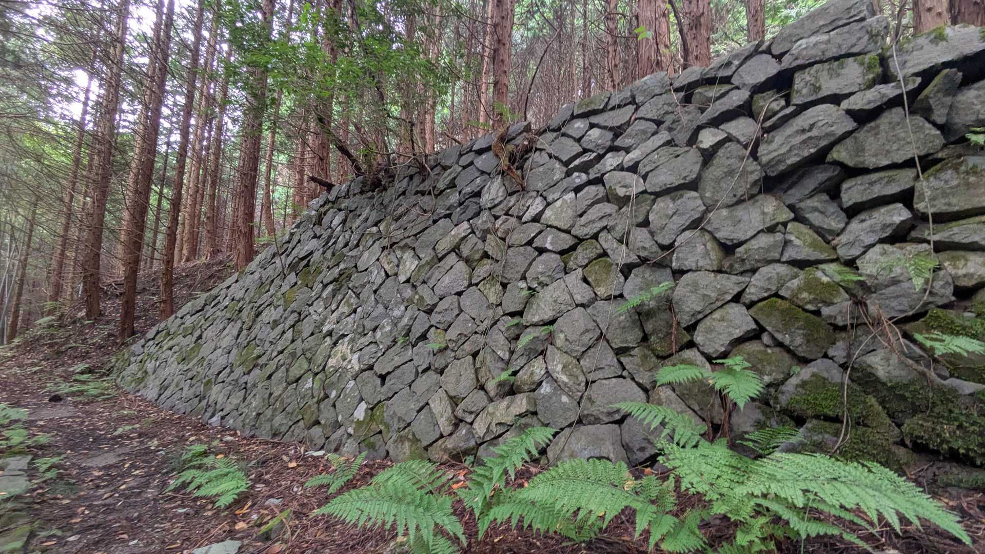 素晴らしい石垣でしばらく眺めていたいほどでした。