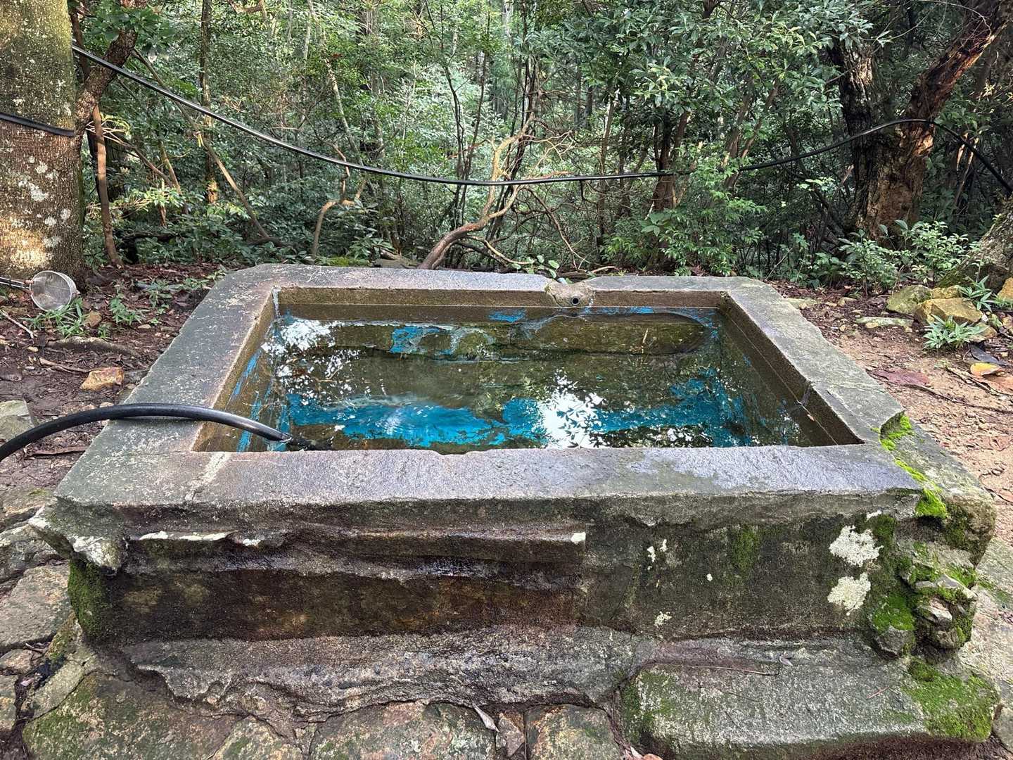白木山登山口-白木山 往復コースの写真