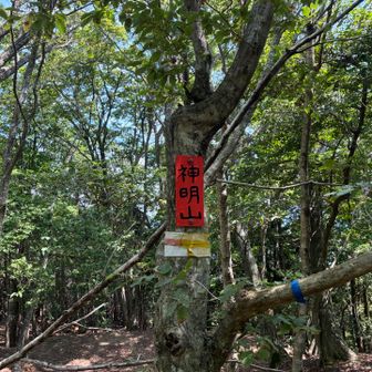 神明山に到着！