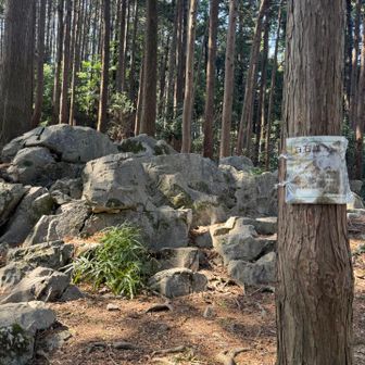 これも覚えてた。
白石様です。