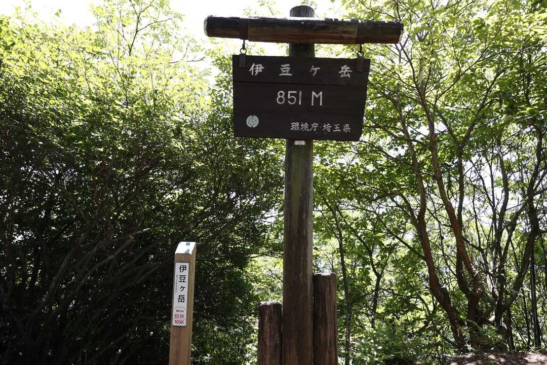伊豆ヶ岳・高畑山・子ノ山（飯能アルプス3座）縦走 の写真 9