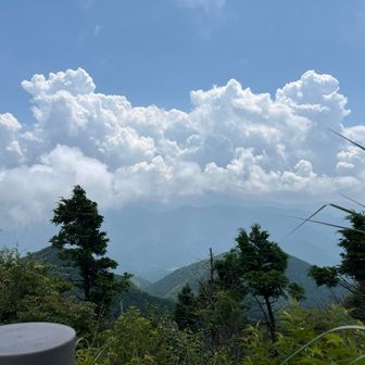 隼大