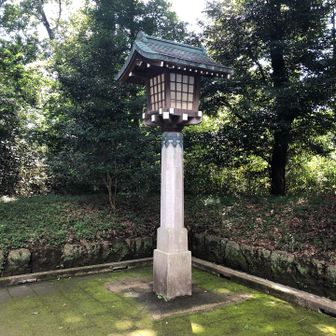 この奥が、御苑の中にある「つつじ山」です。
ここで、ピークハント完了！