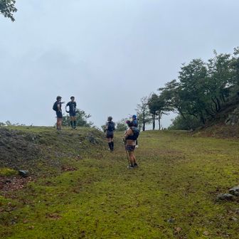 切剥
去年同様真っ白けっけ