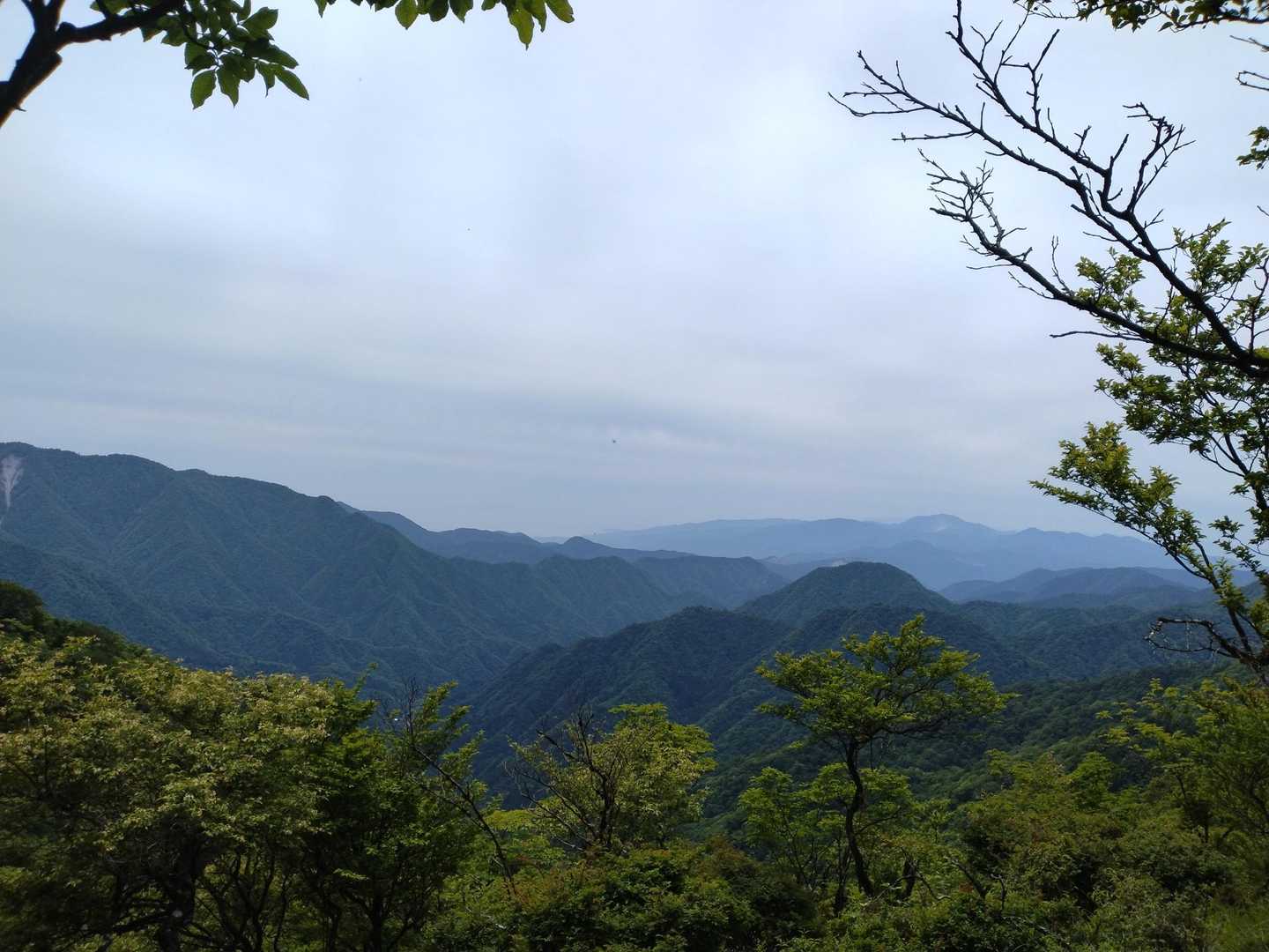 丹沢山塊、箱根の山々が見えました