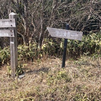 大展望台も気になるけど、