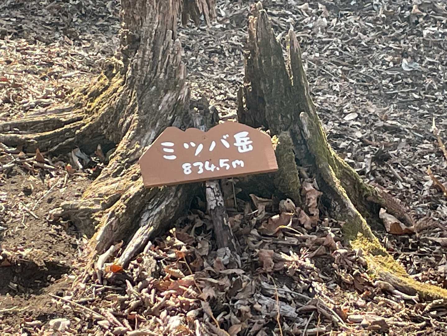 そしてミツバ岳