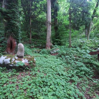 奥の院
　義経の奥さんの北の方か亀若さんを出産したところ。
