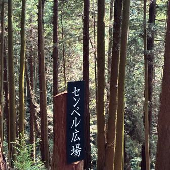 センペル広場👍