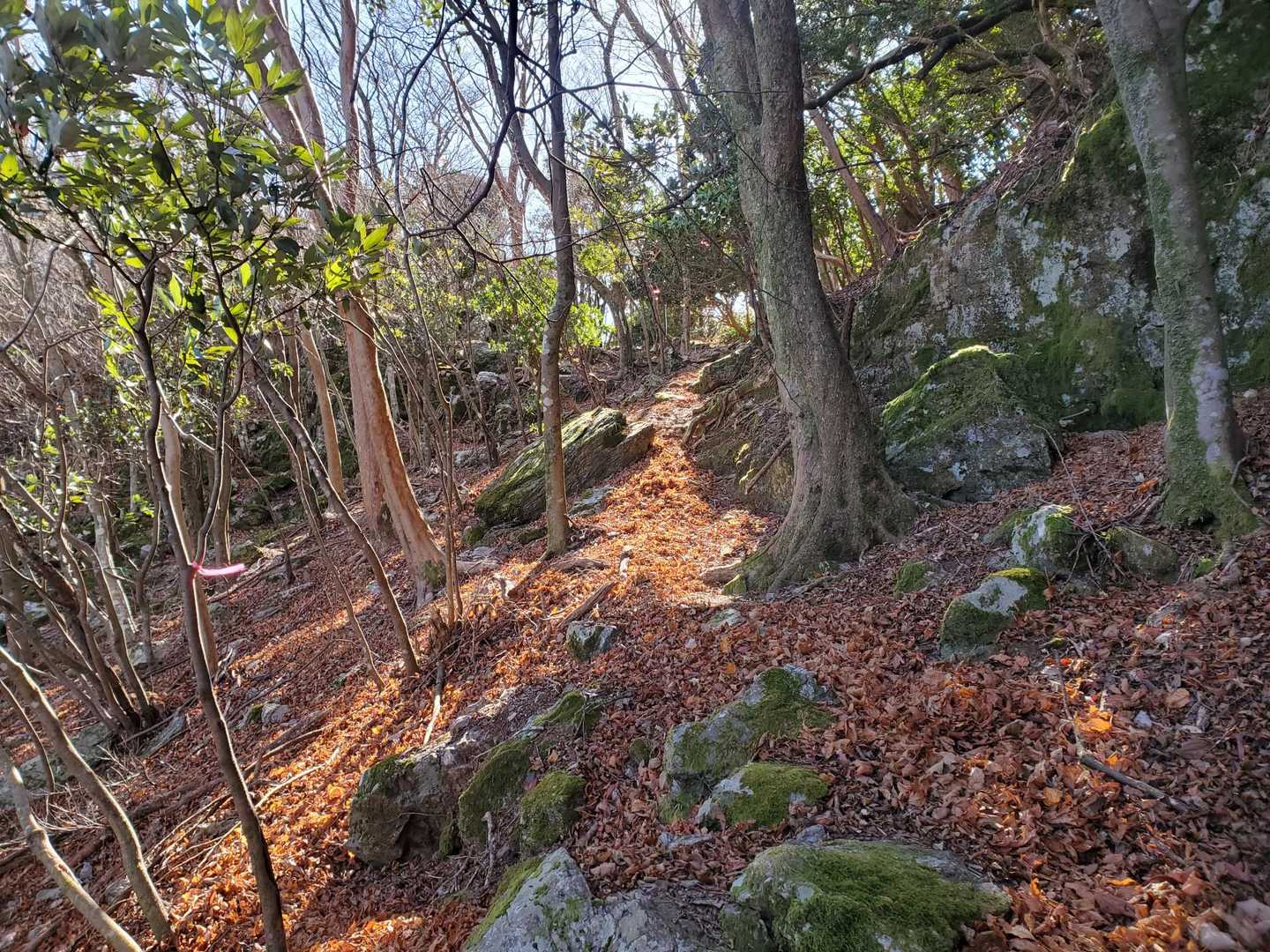 獅子ヶ岳登山道入口-獅子ヶ岳 往復コースの写真