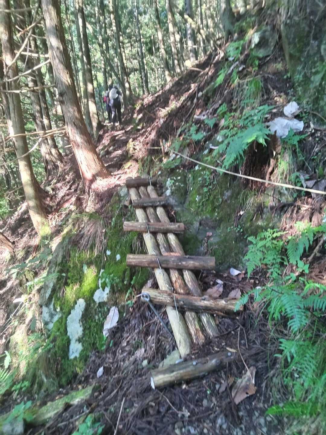 滑りそうな木の階段⁉️😅