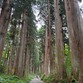 参道は細くなりひたすら地味な登り💦