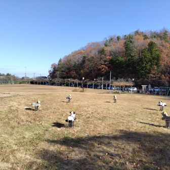 無事公園へ戻ってきました。