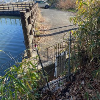 ここ❓登り口❓
水場にいた鴨や黒い鳥がびっくりして逃げてった🙏🏻