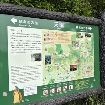 天園