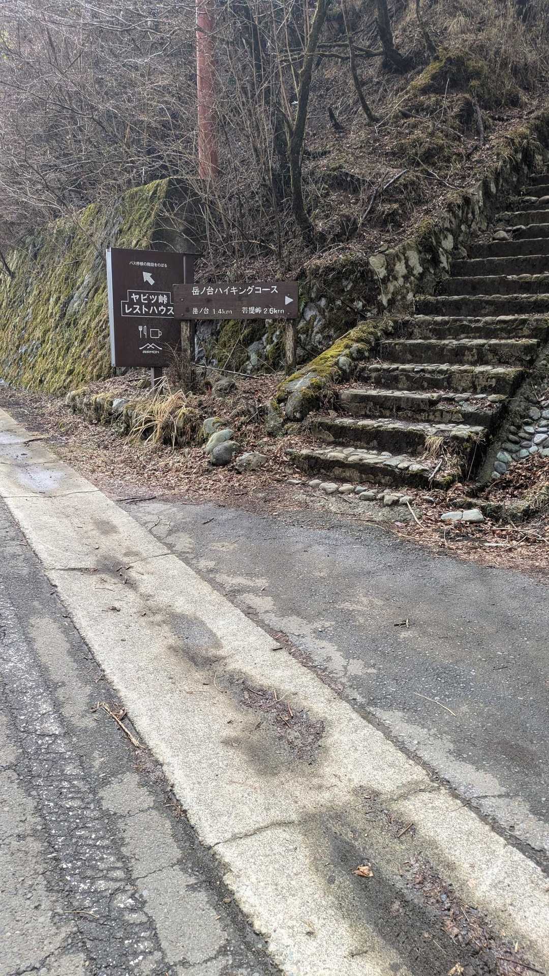 ヤビツ峠の駐車場、想像以上に狭かった。これは好天の時は争奪戦になりそうですね。
レストハウスのすぐ横の階段からスタート🏃🏼