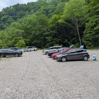 久々のマス登山
嬉しくって、楽しくって
忘れられないな🥹