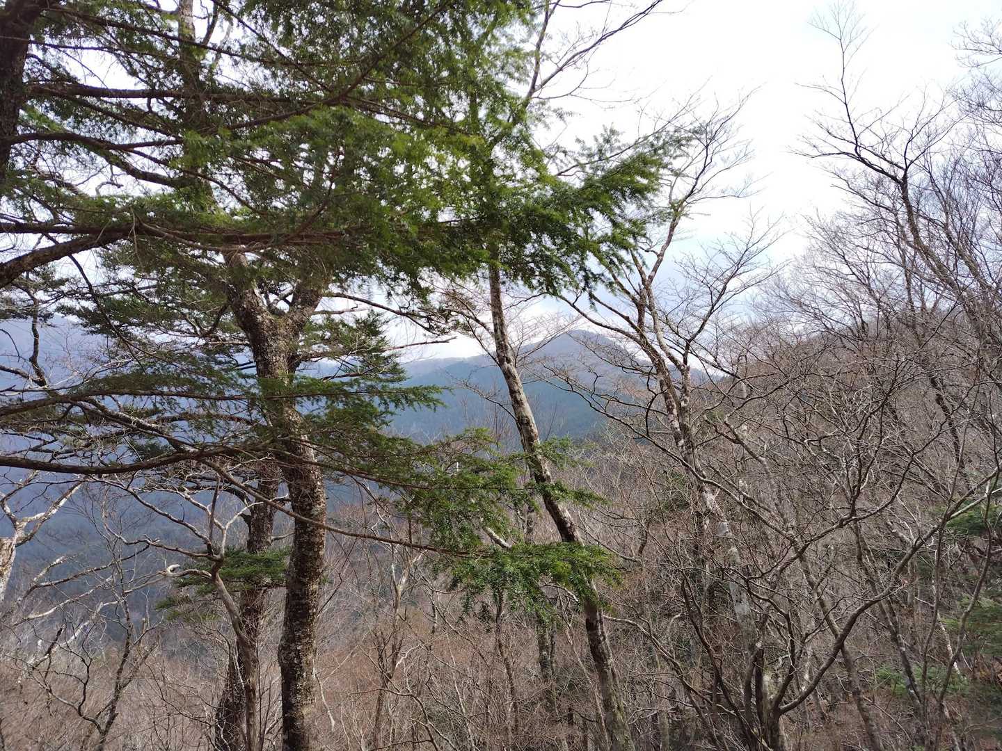 下山中👋