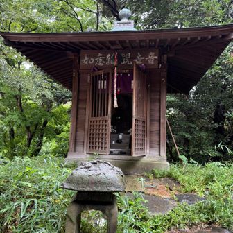 この辺り
紅葉山の山頂🍁