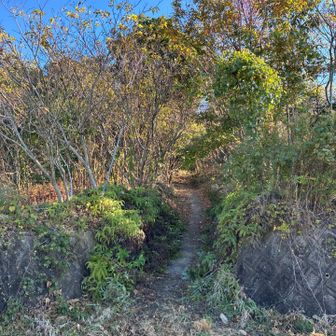 唐渡岩への登山口　標識無し