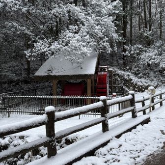 お決まりのトロミル水車