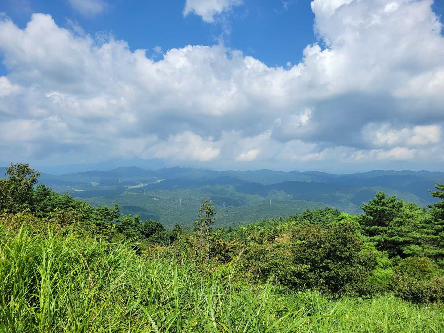 若杉山 往復コースの写真