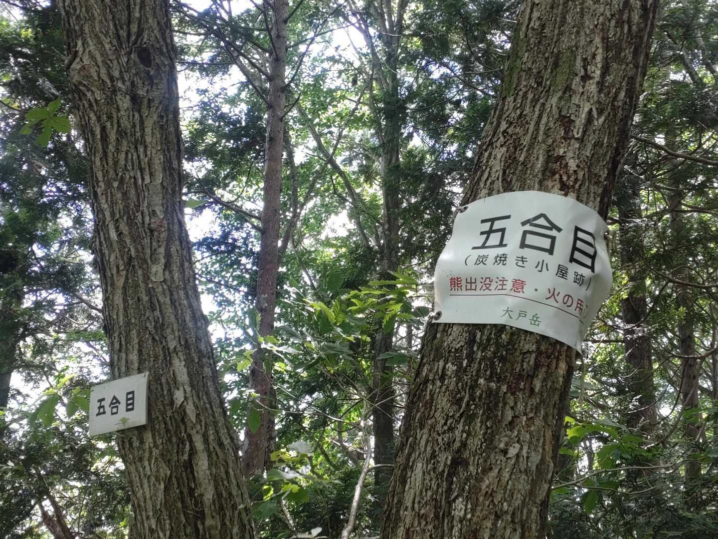 まだ…5合目😵‍💫
暑くなって来ました💦