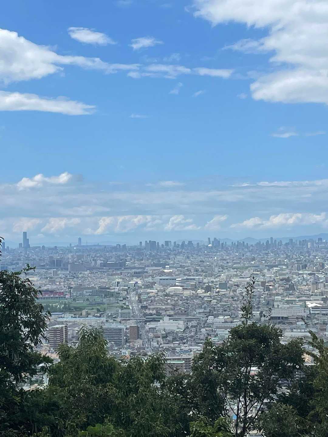 大阪の街並みがくっきりと。