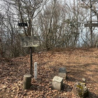 矢筈山⛰️788m

展望なし
一等三角点があります▲