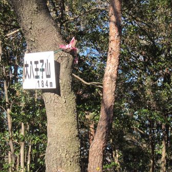 4座目　大八王子山