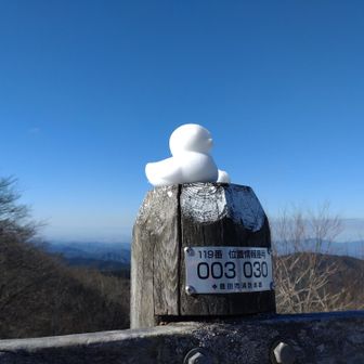 やっと出来た🪿