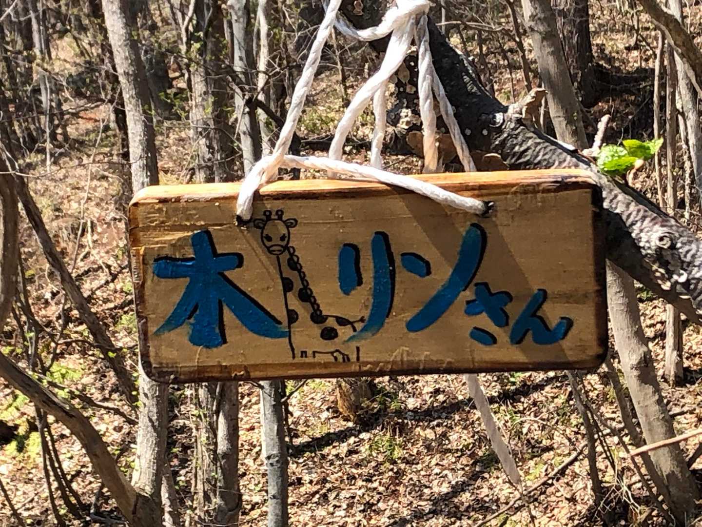 かわいい❤️良かったね💕