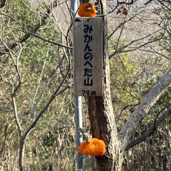 みかんのヘタ山だから誰かが飾ってくれたんだね🍊