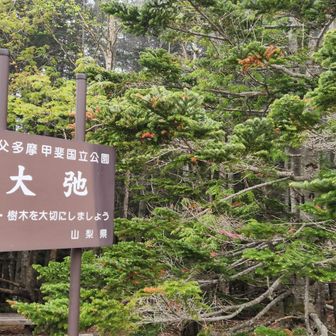雲海に浮かぶ富士山🗻 in金峰山&国師ヶ岳 / ミッキー❅*॰ॱの登山
