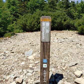 今回の百高山終了点
ここから降ります。