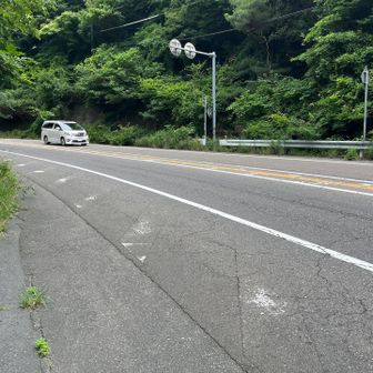 通行量多し