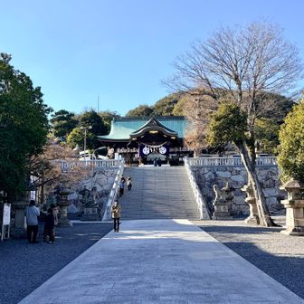 石清尾八幡宮⛩️は、元旦に子供たちと初詣に来たのでスルー😅